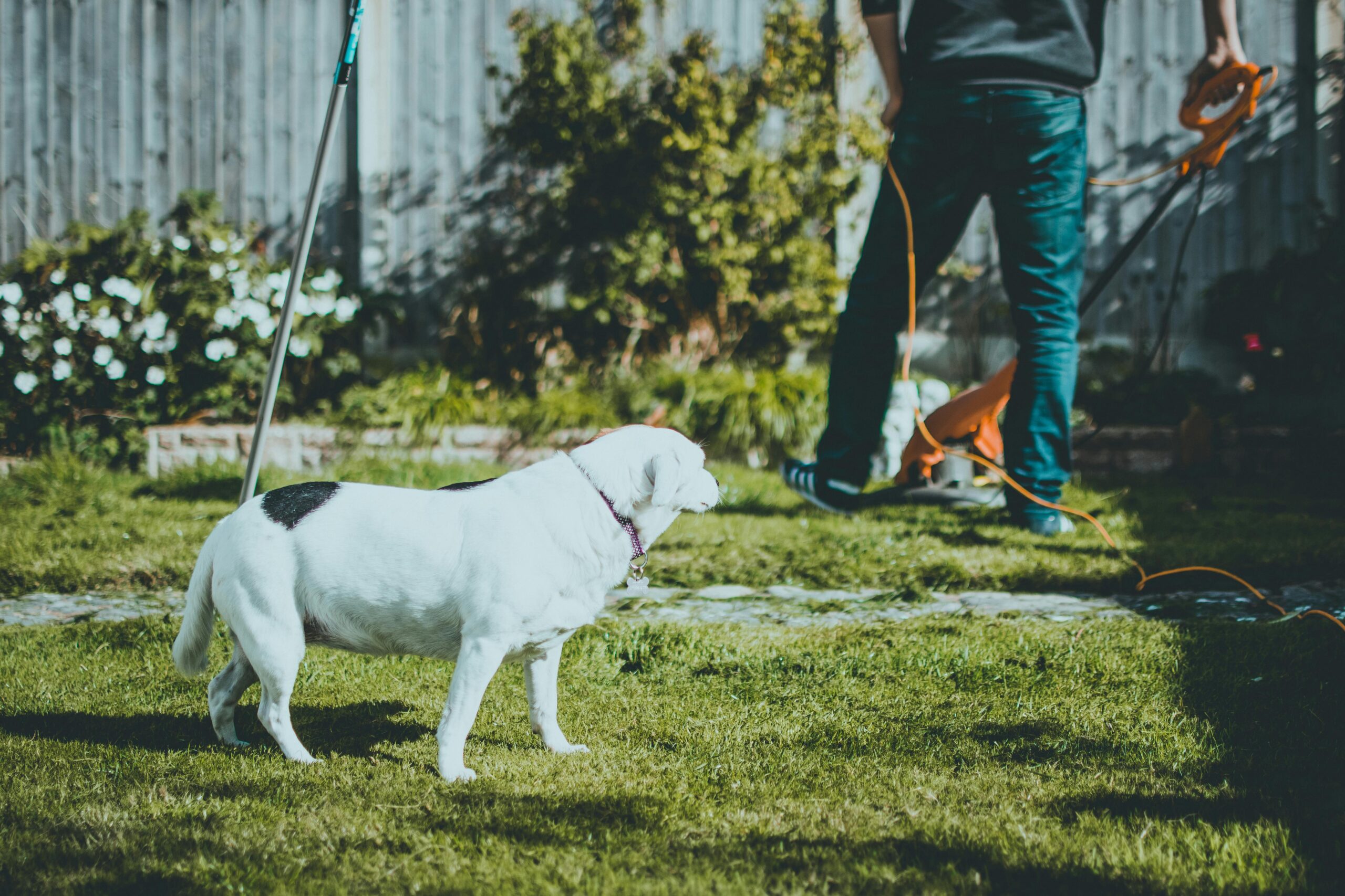 PetWasteWranglers-Landscaping