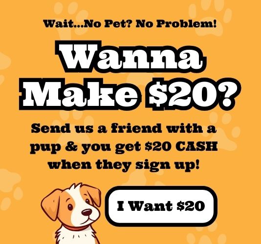Make $20