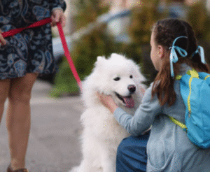 Back to School? Make Sure Your Dog’s Ready And Their Poop Is Too!