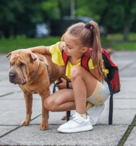 Back-to-School Means More Yard Time for Your Dog — Keep It Clean
