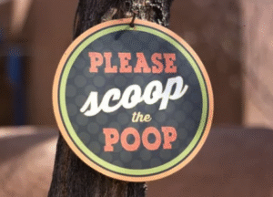 Why Skipping Poop Scooping in August Can Wreck Your Lawn for Fall