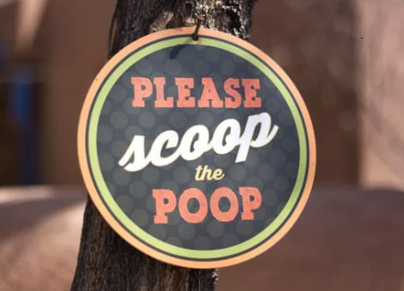 dog poop lawn damage