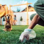dog poop smell removal