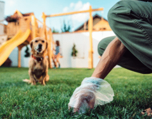 5 Easy Ways to Keep Your Dog’s Favorite Play Area Odor-Free