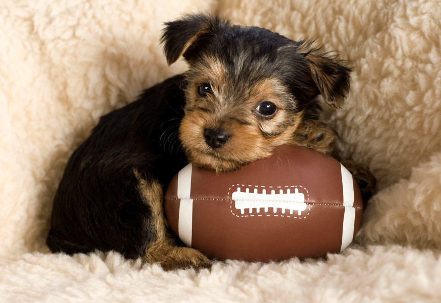 Big game, clean yards